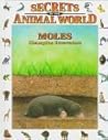 Moles: Champion Excavators (Secrets Animal World)