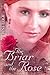 The Briar And the Rose
