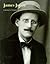 James Joyce (Literary Lives Series)