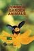 A Guide to Common Garden Animals