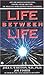 Life Between Life