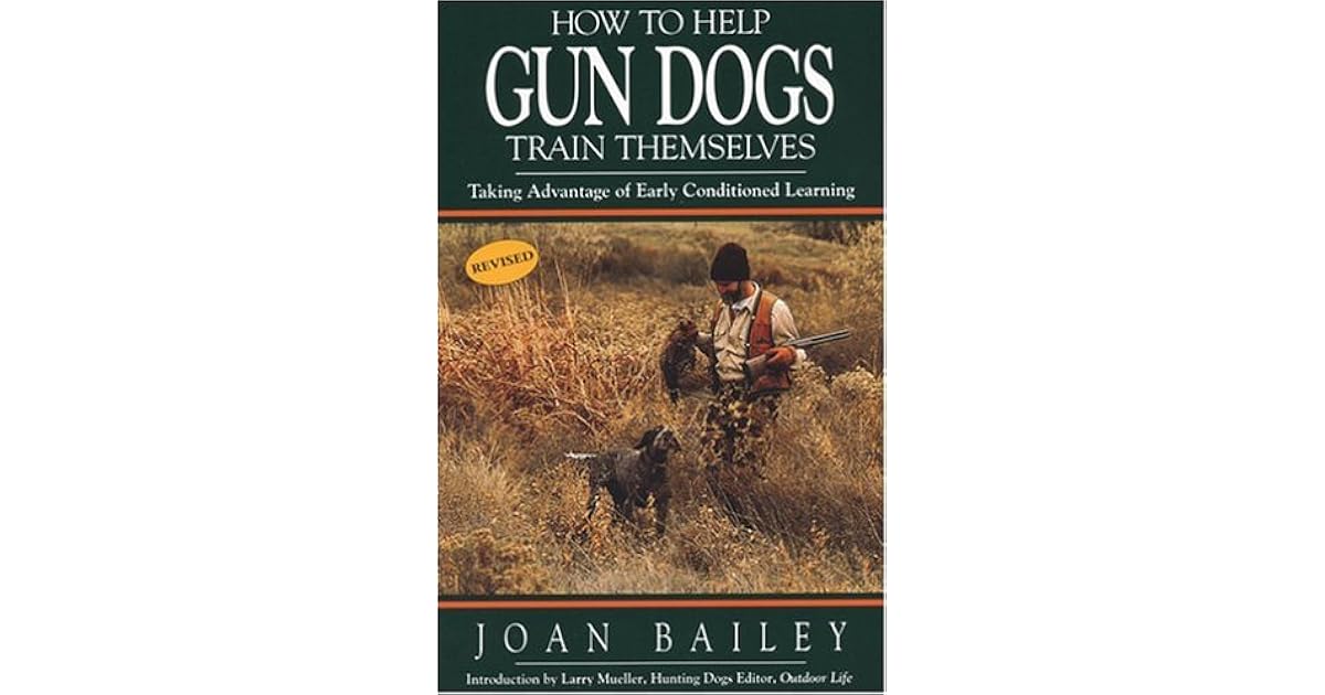 How to Help Gun Dogs Train Themselves Taking Advantage of Early