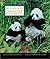 The Legend of the Panda