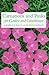 Carnations and Pinks for Garden and Greenhouse by John Galbally