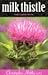 Milk Thistle: The Liver Herb