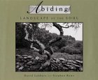 Abiding: Landscape of the Soul (Hardcover)