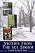 Stories from the Ice Storm