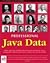 Professional Java Data: RDBMS, JDBC, SQLJ, OODBMS, JNDI, LDAP, Servlets, JSP, WAP, XML, EJBs, CMP2.0, JDO, Transactions, Performance, Scalability, Object and Data Modeling