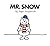 Mr. Snow