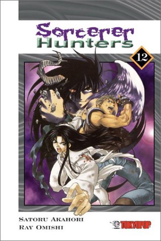 Sorcerer Hunters, Vol. 12 (Paperback)