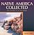 Native America Collected: The Culture of an Art World