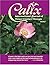 Calix, Vol. 1: International Journal of Flower Essence Therapy