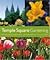 Temple Square Gardening by Christena Gates