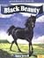 Black Beauty (Troll Illustrated Classics)