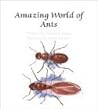 Amazing World of Ants