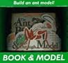 The Ant Book and See-Through Model