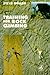 Training for Rock Climbing by Steve Bollen