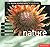 Nature: Digital Photographers Handbook