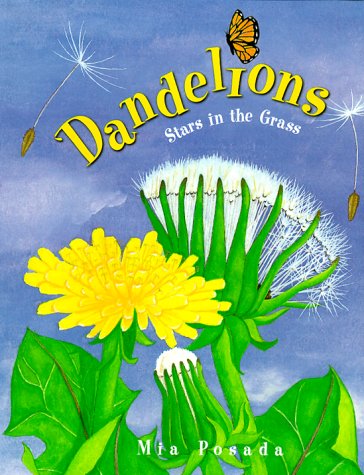 Dandelions: Stars in the Grass (Hardcover)