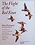 The Flight of the Red Knot by Brian Harrington