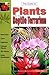 The Guide to Plants for the...