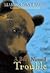 A Bear Named Trouble