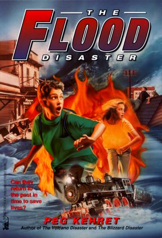 The Flood Disaster (Disaster Books, #3)