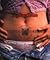 Tattoo Nation: Portraits of...