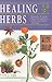 Healing Herbs : Remedies and Recipes * Regional Traditions * Illustrated Herbal Directory