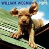 William Wegman's Pups William Wegman's Pups