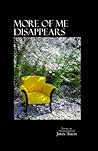More of Me Disappears by John Amen