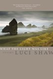 What the Light Was Like: Poems (Paperback)