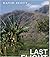 Last Flight out of Dili:Memoirs of an Accidental Activist in the Triumph of East Timor