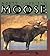 North American Moose (Nature Watch)