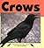 Crows by Sylvia A. Johnson