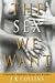 The Sex We Want by J.K. Collins