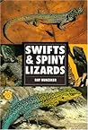 Swifts & Spiny Lizards