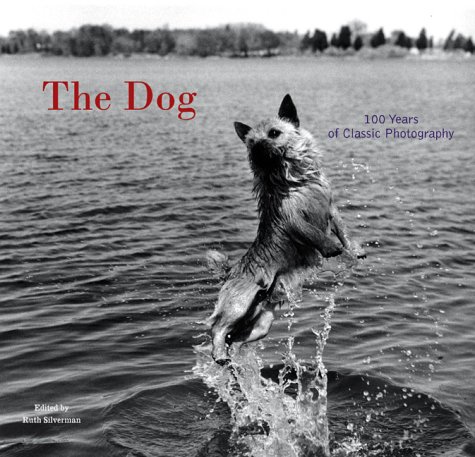 The Dog: 100 Years of Classic Photography (Paperback)