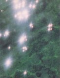 Felix Gonzalez-Torres (Paperback)