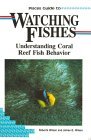 Watching Fishes: Understanding Coral Reef Fish Behavior Watching Fishes: Understanding Coral Reef Fish Behavior