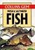 Collins Gem Fresh and Saltwater Fish (Collins Gems)