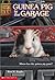 Guinea Pig in the Garage by Ben M. Baglio