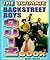 The Ultimate Backstreet Boys Quiz Book by Maggie Marron