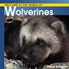 Welcome to the World of Wolverines