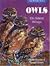 Owls: On Silent Wings (The Wonder Series)