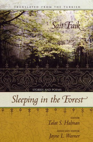 Sleeping in the Forest: Stories and Poems (Paperback)