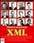Professional XML by Didier  Martin
