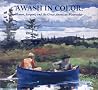 Awash in Color: Homer, Sargent, and the Great American Watercolor Awash in Color: Homer, Sargent, and the Great American Watercolor