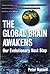 The Global Brain Awakens: O...