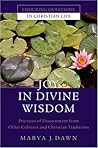 Joy in Divine Wisdom: Practices of Discernment from Other Cultures and Christian Traditions (Enduring Questions in Christian Life)